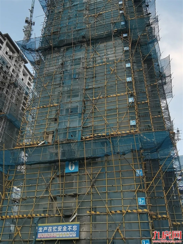 臻品生活家|启封金秋家书,收获幸福信号——九房网 臻品生活家|启封金秋家书,收获幸福信号——九房网