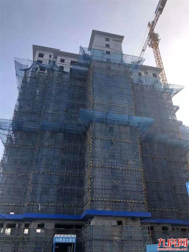 臻品生活家|启封金秋家书,收获幸福信号——九房网 臻品生活家|启封金秋家书,收获幸福信号——九房网