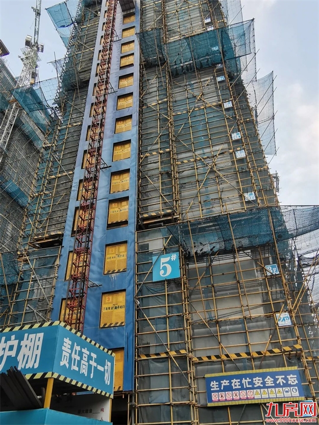 臻品生活家|启封金秋家书,收获幸福信号——九房网 臻品生活家|启封金秋家书,收获幸福信号——九房网