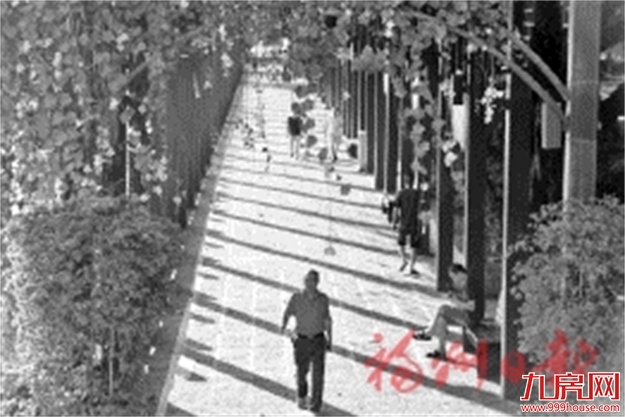 厦门房产,厦门房地产,厦门新房,九房网,厦门房产