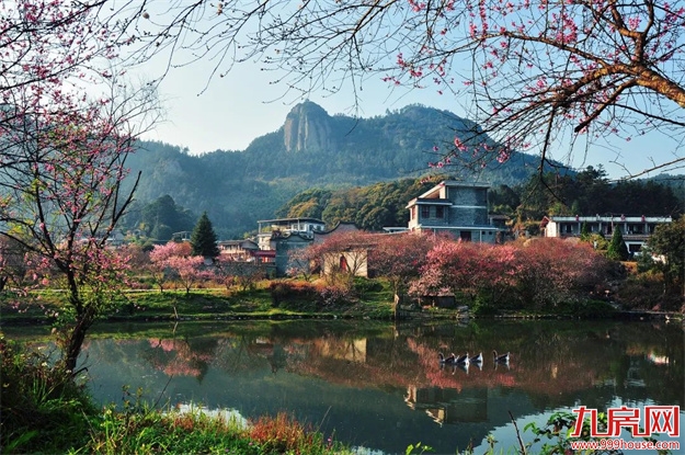 巴晓光 | 我在闽侯 幸会江南——九房网