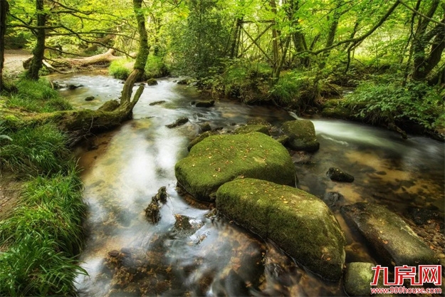 巴晓光 | 我在闽侯 幸会江南——九房网