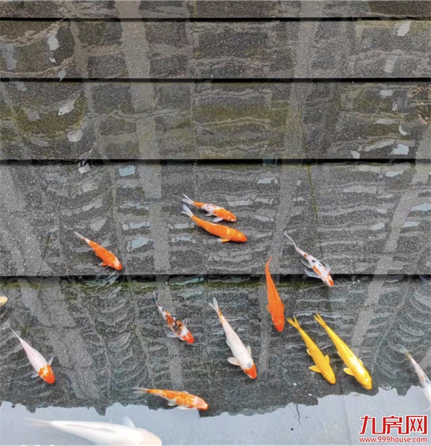 厦门，唯一一个被妖魔化的顶级豪宅 | 中篇——九房网