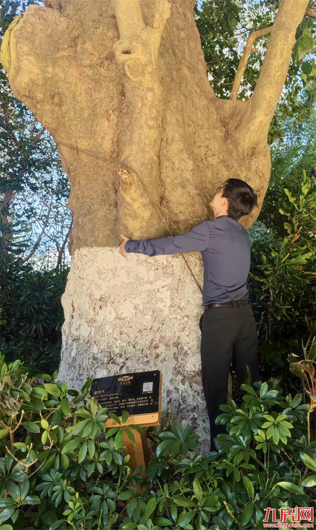 厦门，唯一一个被妖魔化的顶级豪宅 | 中篇——九房网