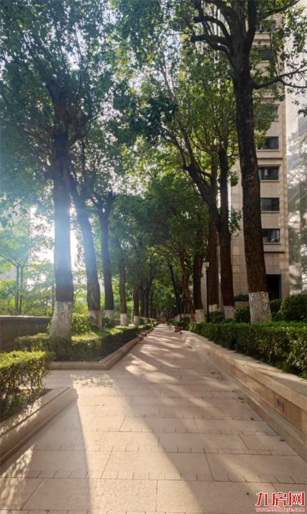 厦门，唯一一个被妖魔化的顶级豪宅 | 中篇——九房网