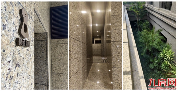 厦门，唯一一个被妖魔化的顶级豪宅 | 中篇——九房网