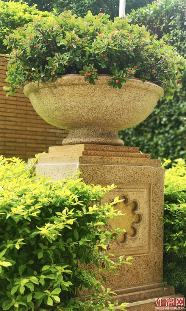 厦门，唯一一个被妖魔化的顶级豪宅 | 中篇——九房网