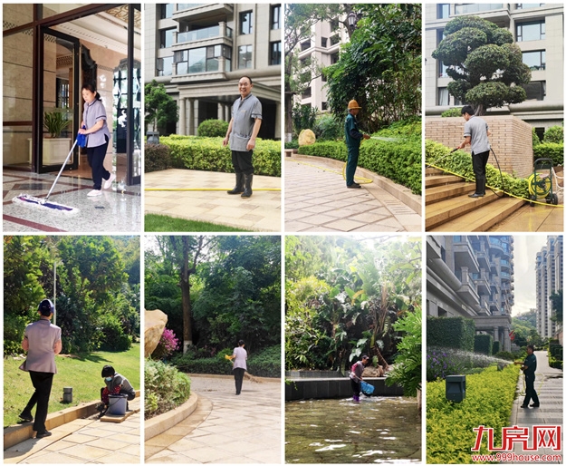 厦门，唯一一个被妖魔化的顶级豪宅 | 中篇——九房网