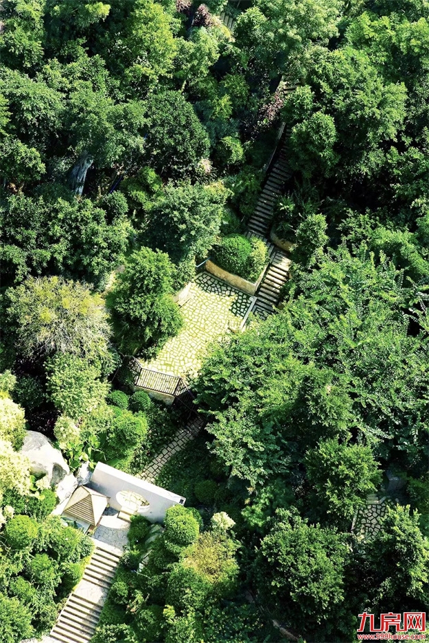 厦门，唯一一个被妖魔化的顶级豪宅 | 中篇——九房网