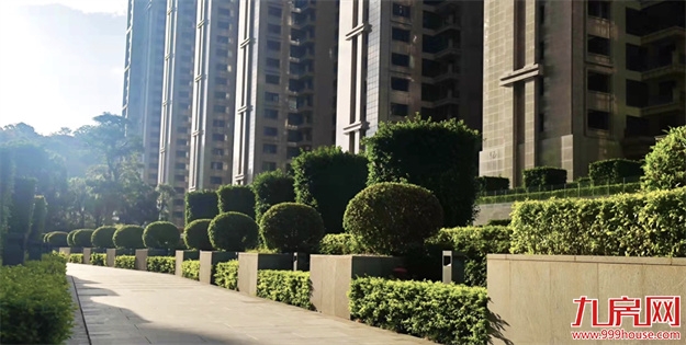 厦门，唯一一个被妖魔化的顶级豪宅 | 中篇——九房网