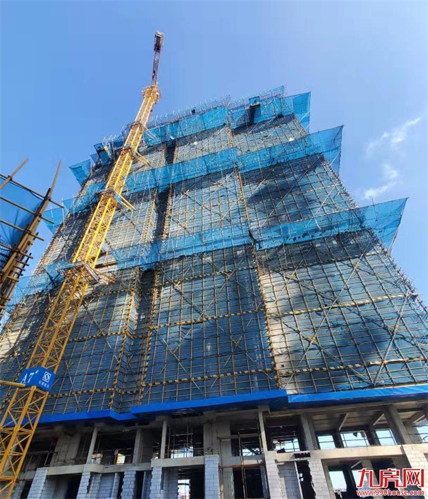 臻品生活家｜执笔述锦秋，落笔寄臻情——九房网