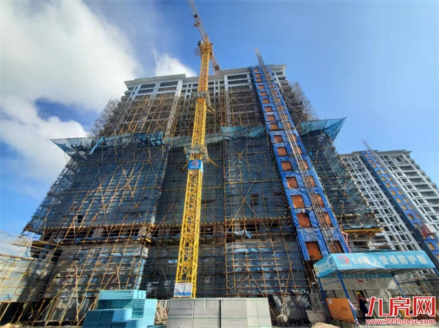 臻品生活家｜执笔述锦秋，落笔寄臻情——九房网