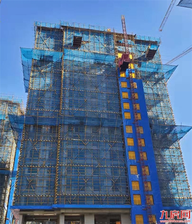 臻品生活家｜执笔述锦秋，落笔寄臻情——九房网