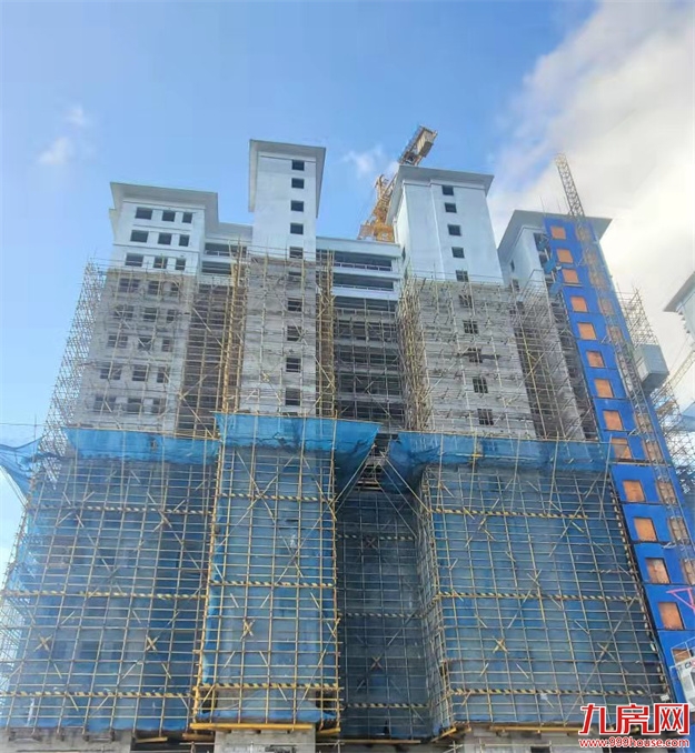 臻品生活家｜执笔述锦秋，落笔寄臻情——九房网