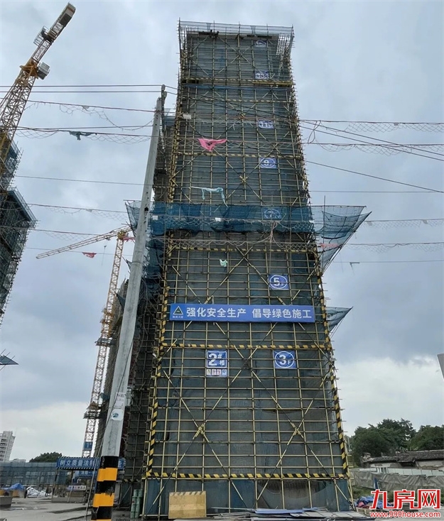 臻品生活家｜执笔述锦秋，落笔寄臻情——九房网