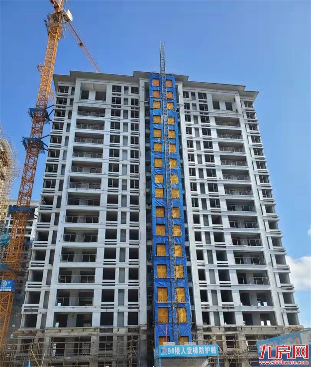 臻品生活家｜执笔述锦秋，落笔寄臻情——九房网