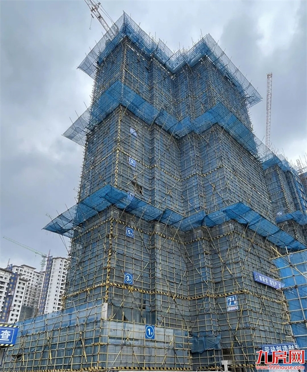 臻品生活家｜执笔述锦秋，落笔寄臻情——九房网