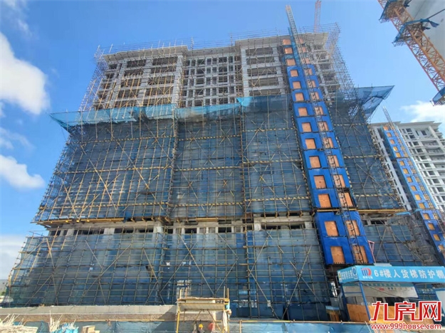 臻品生活家｜执笔述锦秋，落笔寄臻情——九房网