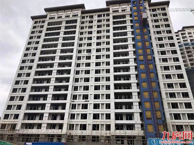 臻品生活家｜执笔述锦秋，落笔寄臻情——九房网