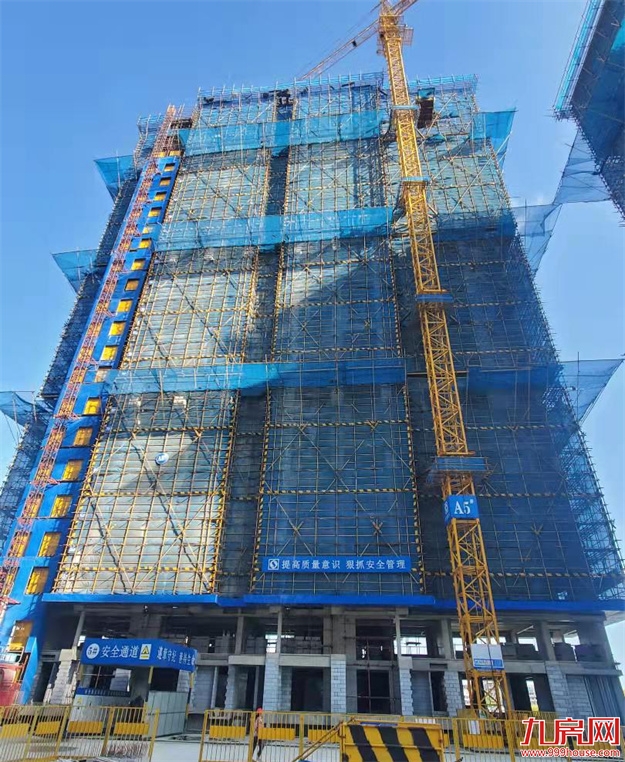 臻品生活家｜执笔述锦秋，落笔寄臻情——九房网