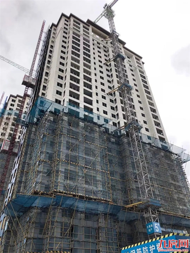 臻品生活家｜执笔述锦秋，落笔寄臻情——九房网