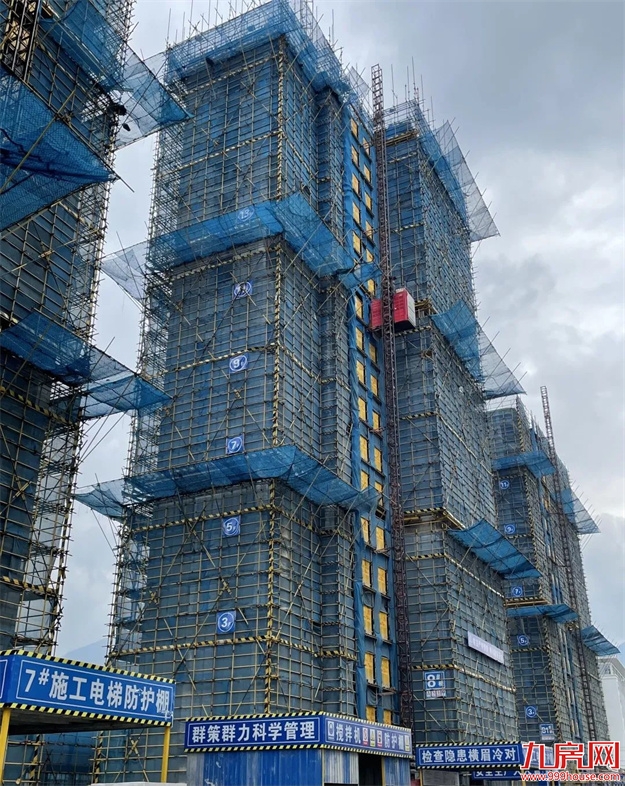 臻品生活家｜执笔述锦秋，落笔寄臻情——九房网