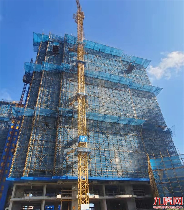 臻品生活家｜执笔述锦秋，落笔寄臻情——九房网