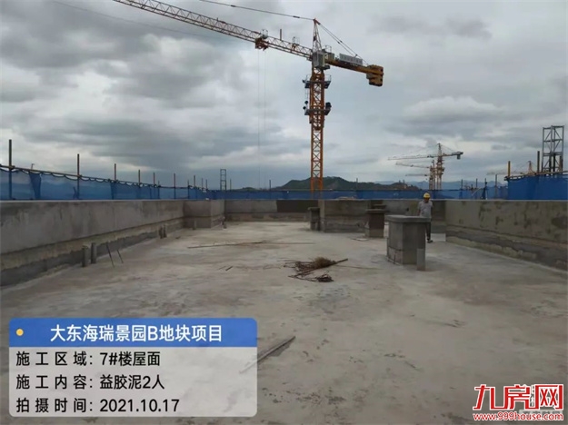 臻品生活家｜执笔述锦秋，落笔寄臻情——九房网