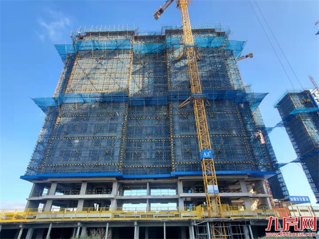 臻品生活家｜执笔述锦秋，落笔寄臻情——九房网