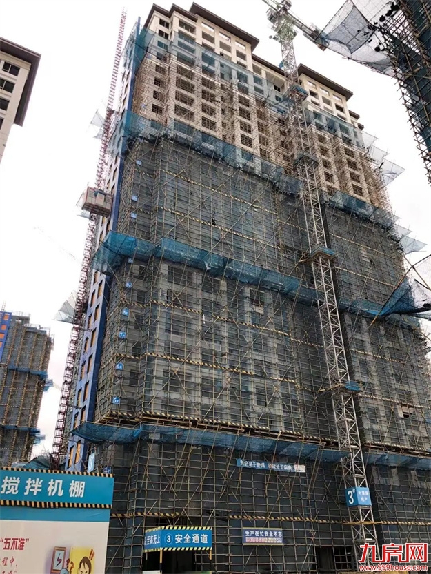 臻品生活家｜执笔述锦秋，落笔寄臻情——九房网