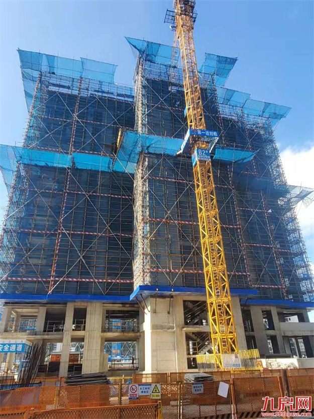 臻品生活家｜执笔述锦秋，落笔寄臻情——九房网