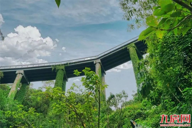 在正荣，心动总能加一点——九房网