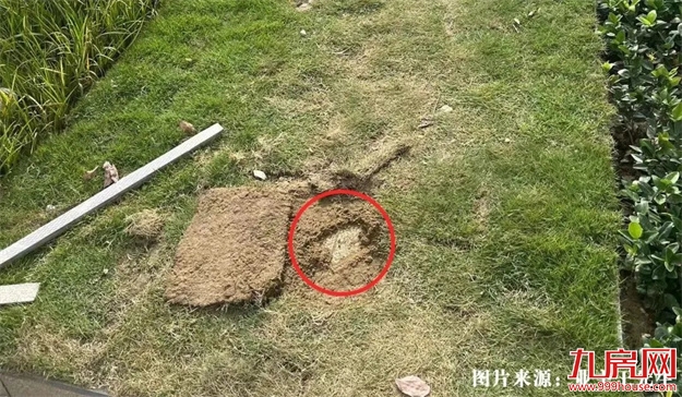 曝光！福州某盘被指虚假宣传！一房产中介被罚50万！——九房网