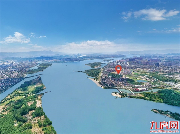 逆势之下仍见曙光！你可以永远“押注”硬核产品力！——九房网