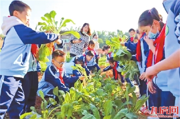 用心办好家门口的每一所学校  永泰因地制宜推动教育发展——九房网