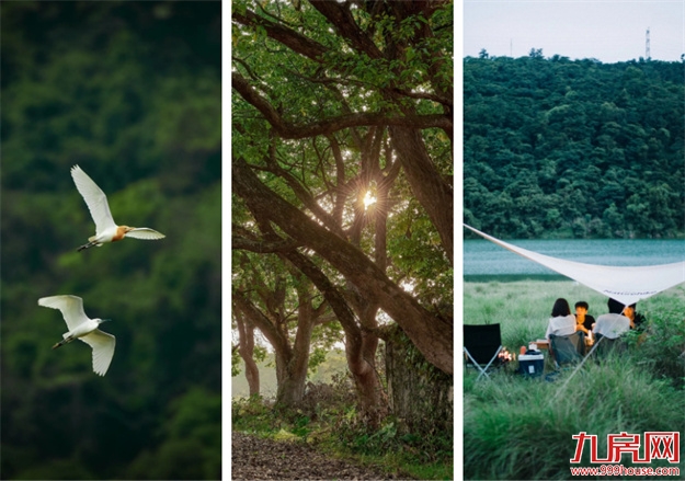 手握“五大王炸”，这座隐藏在福州市中心的富人山谷卖“爆”了——九房网