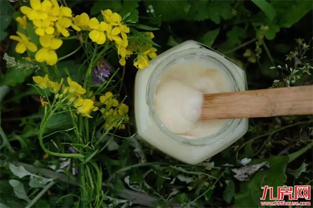 文末权益 | 2022，福州正荣邀您一起爱心接力——九房网