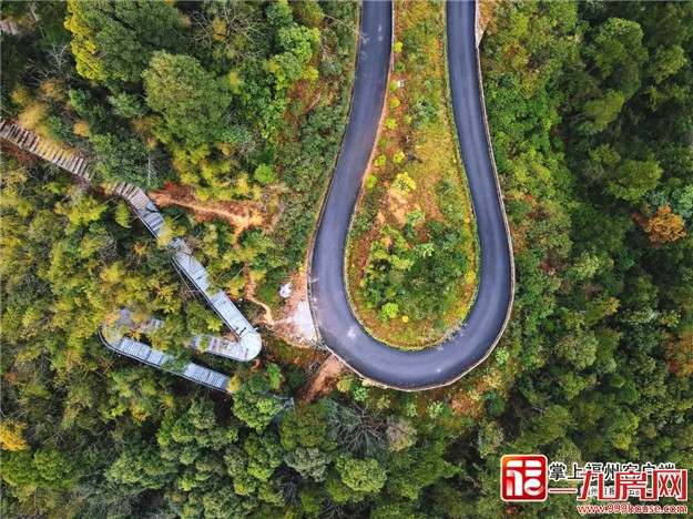 1500亩！近7公里长！新晋网红打卡点上线！——九房网