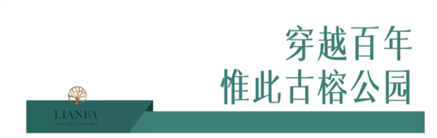 古榕为名，福州市区新添一座网红公园——九房网