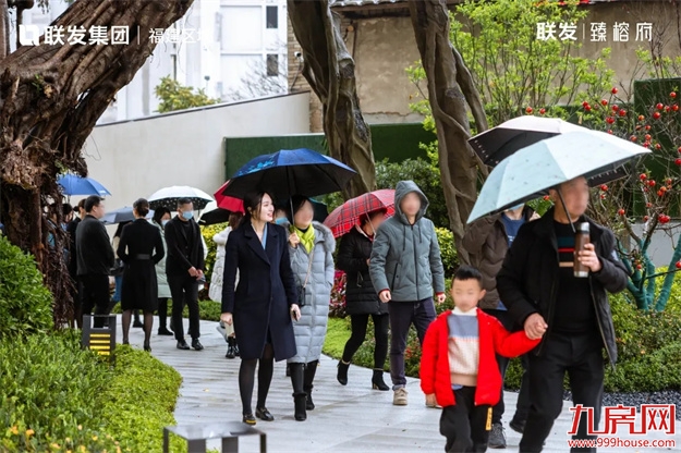 古榕为名，福州市区新添一座网红公园——九房网