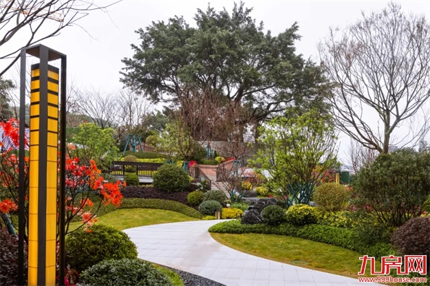 古榕为名，福州市区新添一座网红公园——九房网