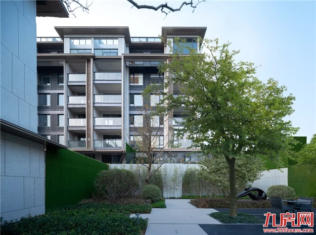 世界登云 阳光城&象屿双强同行——九房网