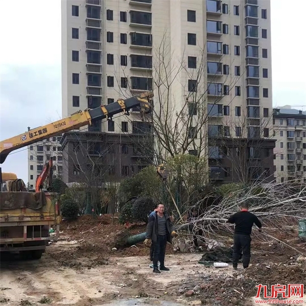 吹响号角 | 正荣节后施工忙 加速建设抢先开局——九房网 吹响号角 | 正荣节后施工忙 加速建设抢先开局——九房网