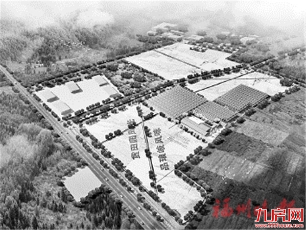 琅岐打造面向全国的“种业硅谷”  力争年底全面运营——九房网