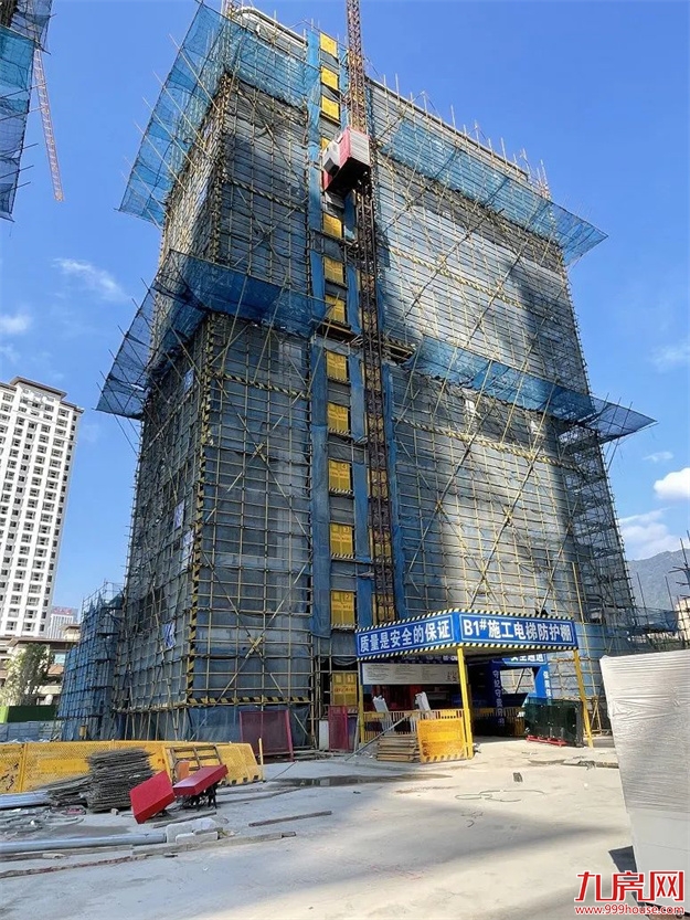 臻品生活家｜春意款款，一纸家书唤美好如常——九房网