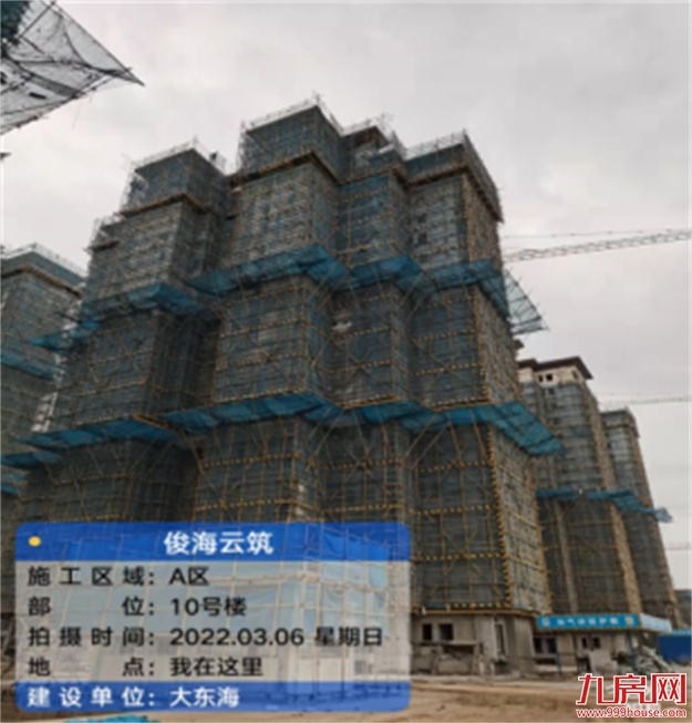 臻品生活家｜春意款款，一纸家书唤美好如常——九房网