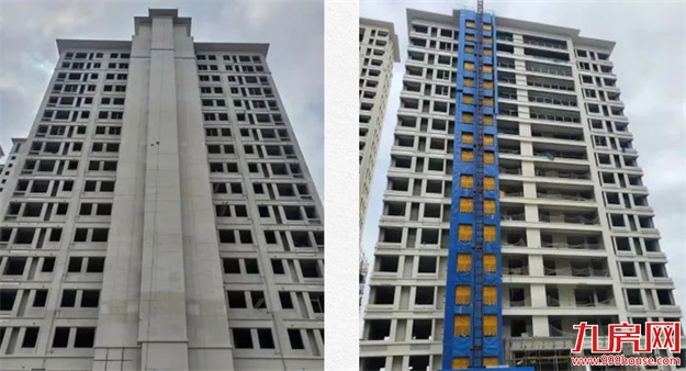 臻品生活家｜春意款款，一纸家书唤美好如常——九房网