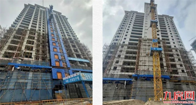 臻品生活家｜春意款款，一纸家书唤美好如常——九房网