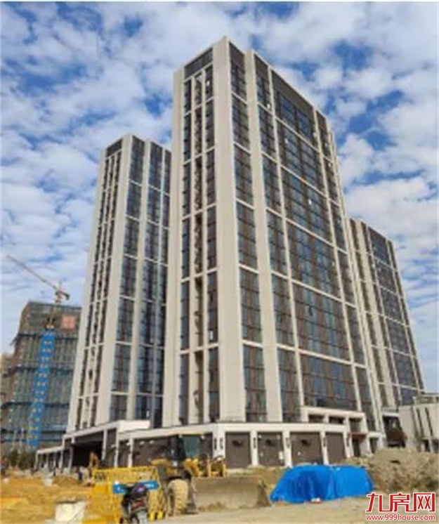 臻品生活家｜春意款款，一纸家书唤美好如常——九房网