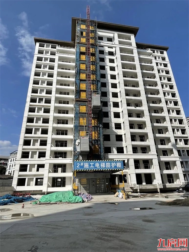 臻品生活家｜春意款款，一纸家书唤美好如常——九房网